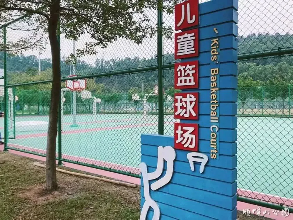 篮球训练直播_1